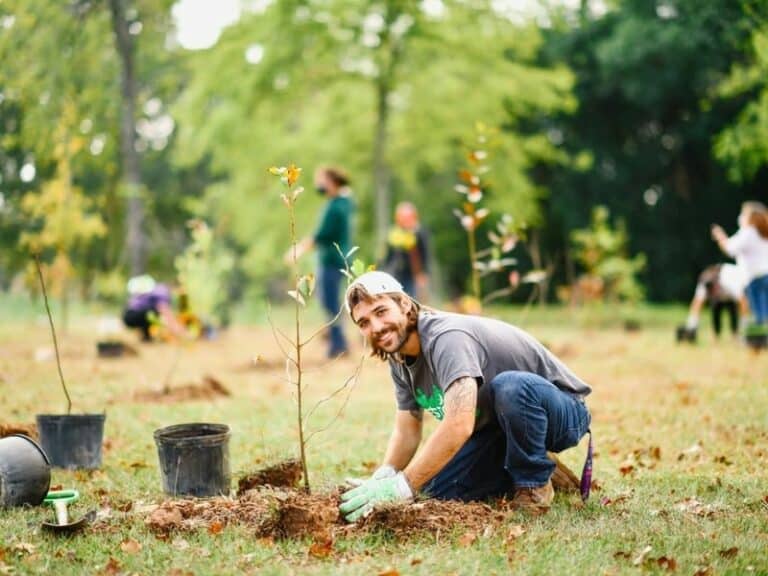 Livelihood Volunteer Planting Tree