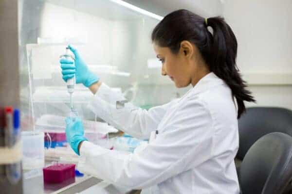 lab