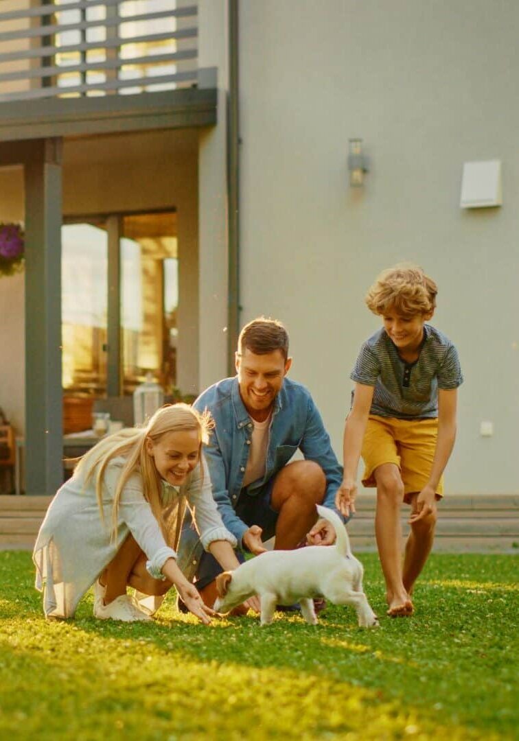 Family playing outside with dog Family playing with their kids and dog outside with no allergies